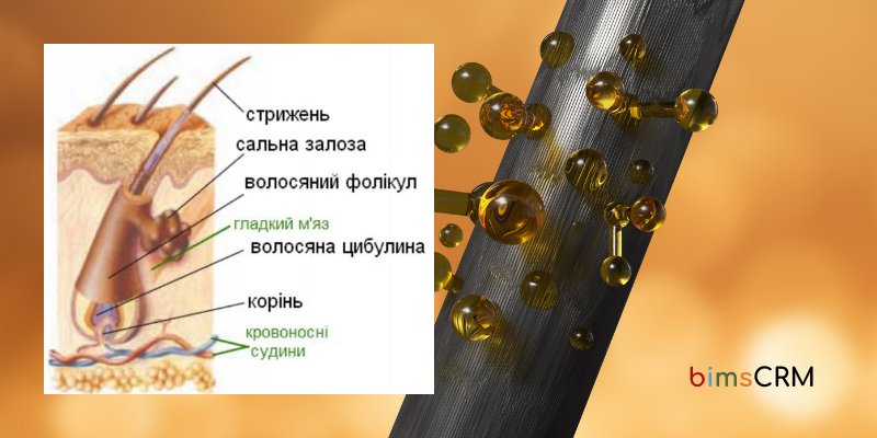 іва.png